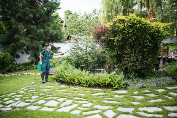 Best Pest Control for Homes  in Essex, IL