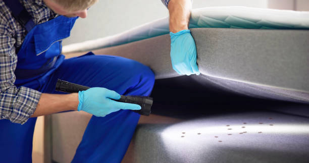 Best Pest Control Treatment  in Essex, IL