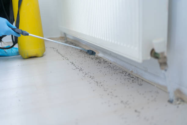 Best Affordable Pest Control Services  in Essex, IL