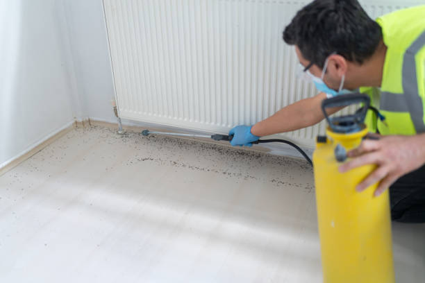 Best Pest Inspection Near Me  in Essex, IL